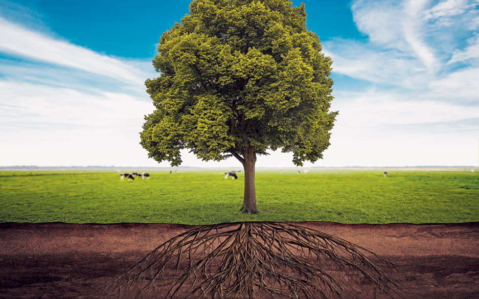 Landwirtschaft Die Wurzeln Der Landi