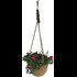 Hanging Basket planté P23 cm