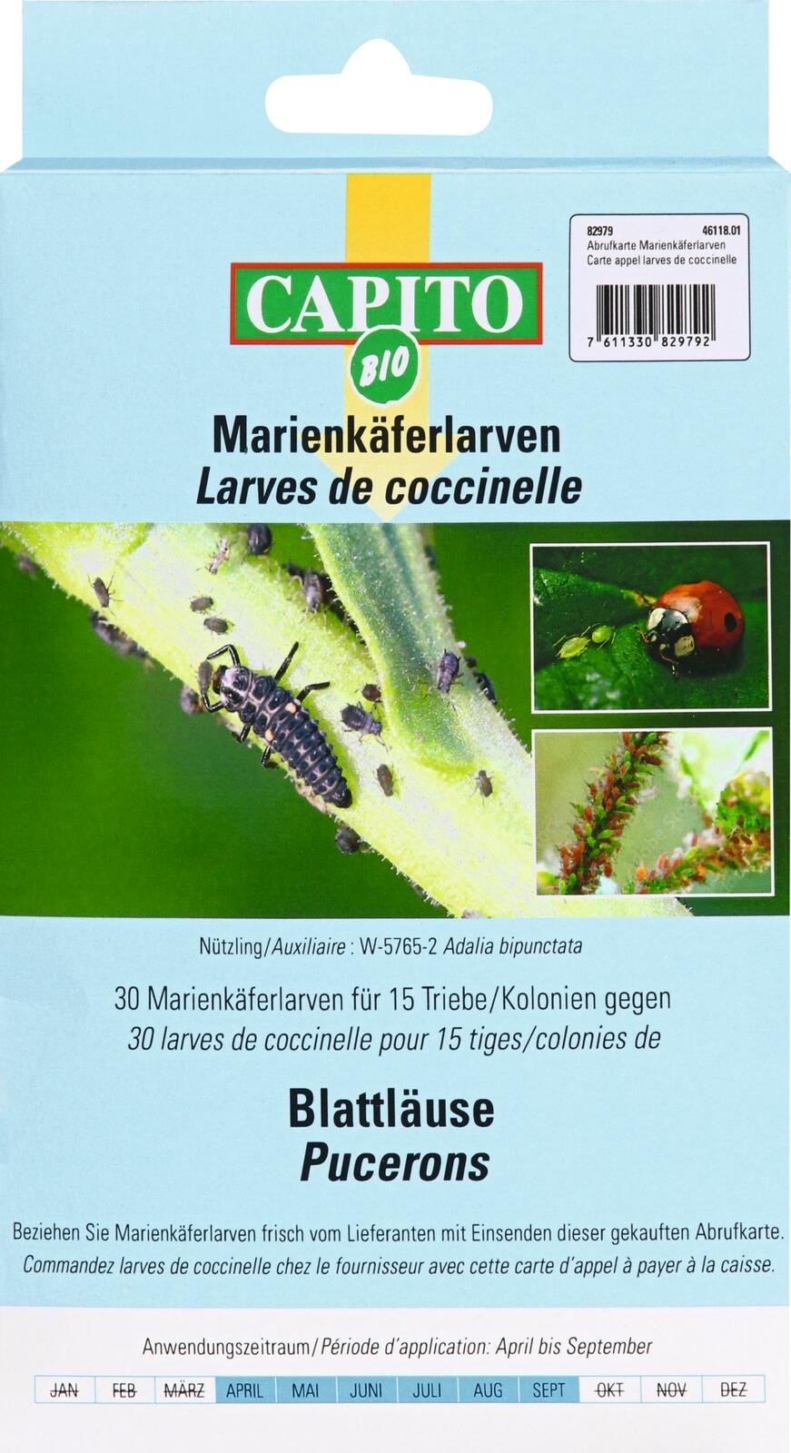 Carte d appel larves de coccinelle Acheter Insecticides de