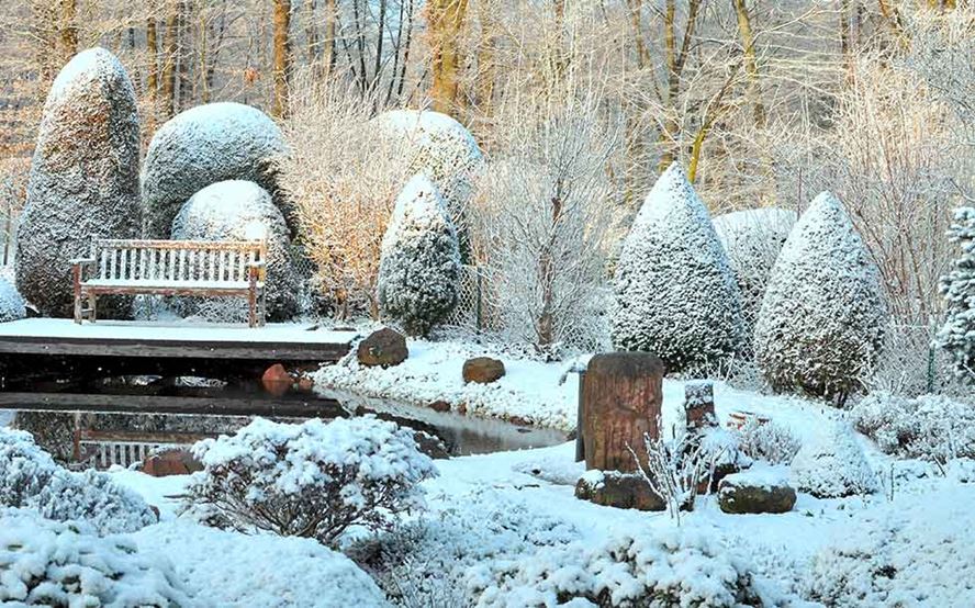 Jardinage : protégez vos plantes pour l'hiver au balcon ou au jardin